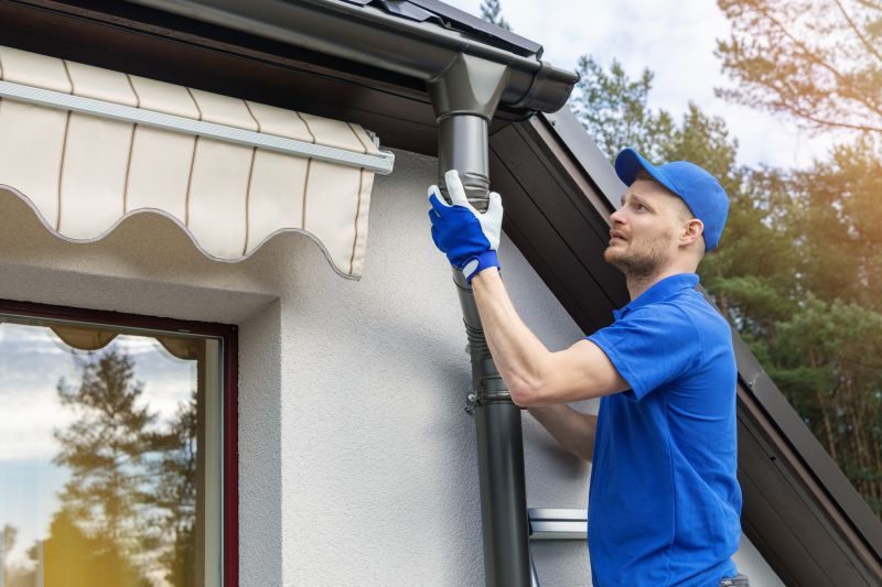 Gutter Cleaning in Spring