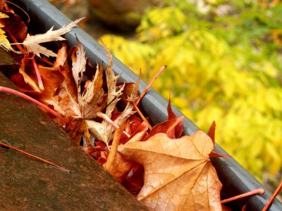 Autumn Gutter Maintenance